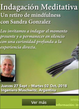 Indagación Meditativa