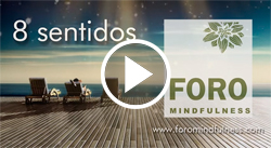 8 Sentidos