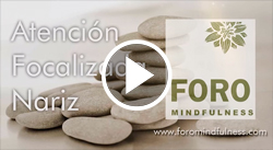 Atención Focalizada