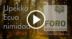 Upekka-Ecuanimidad