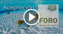 Aceptación del mundo